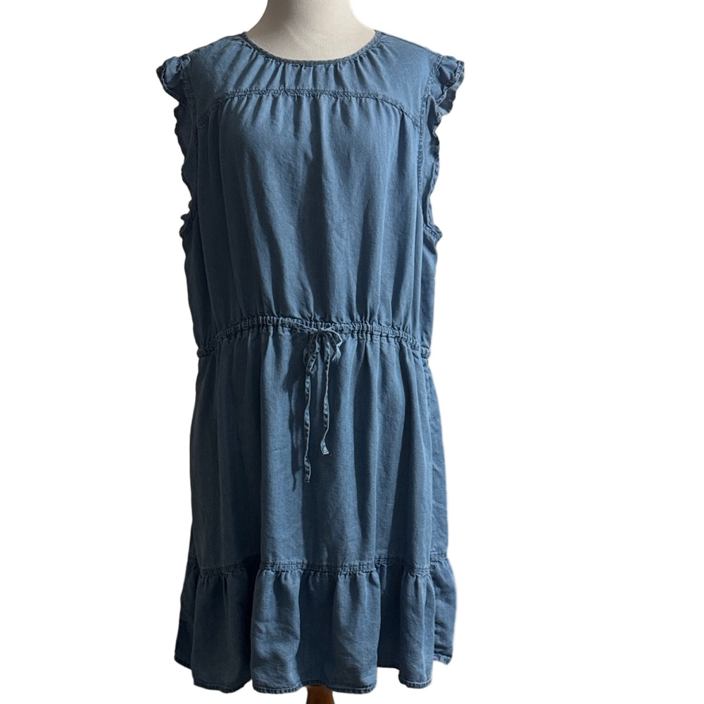 Time and Tru Denim Blue Ruffle Dress With pockets - Picture 2 of 12